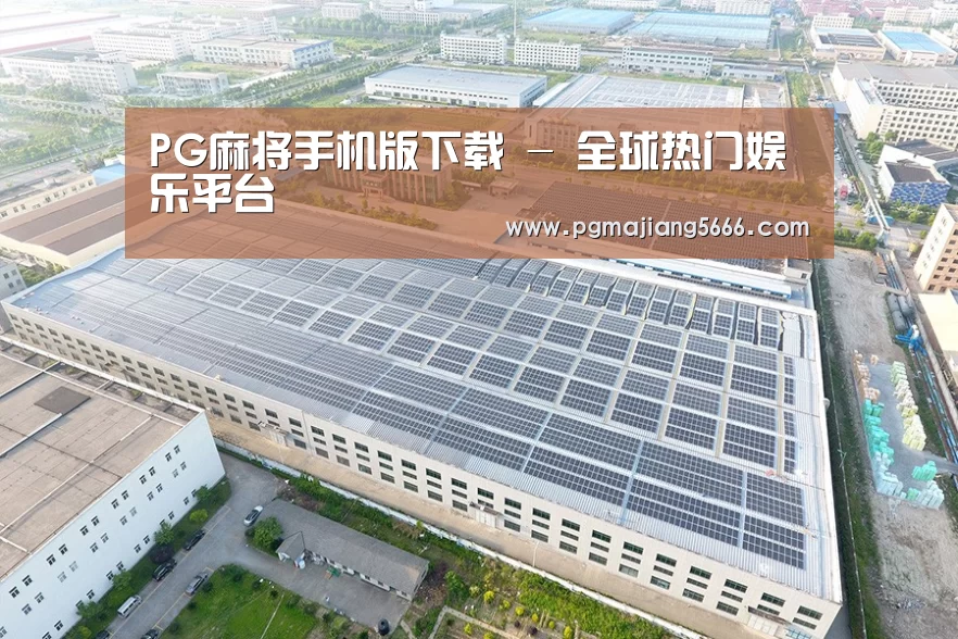 案例展示二