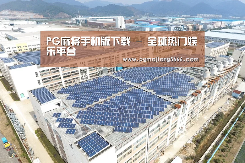 案例展示一