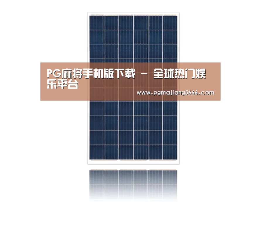 产品名称一