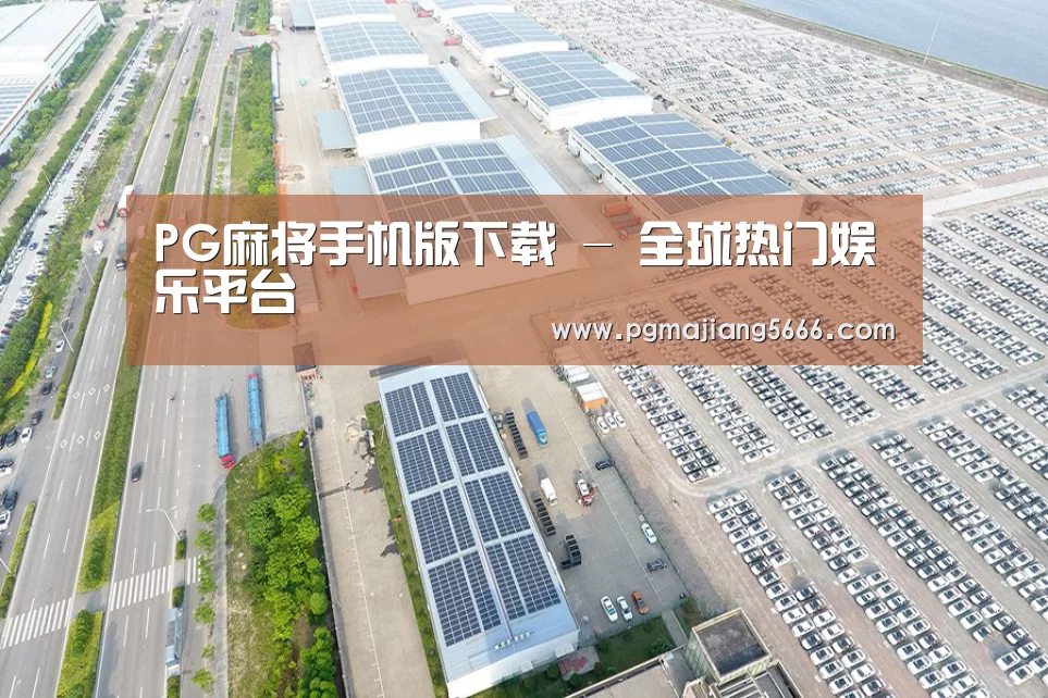 案例展示一