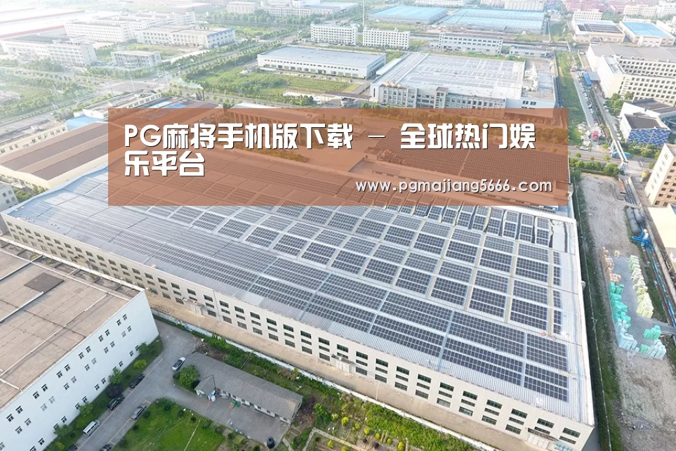 案例展示四